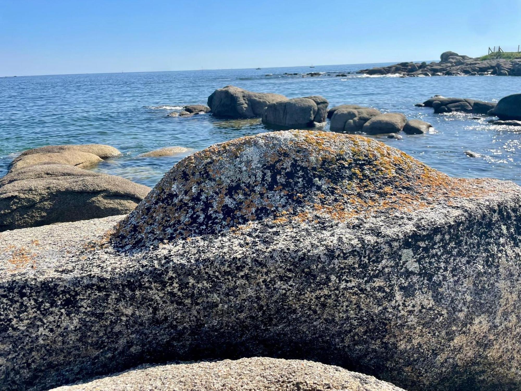 2 Maisons De Vacances Sittelles Lodge Concarneau Εξωτερικό φωτογραφία