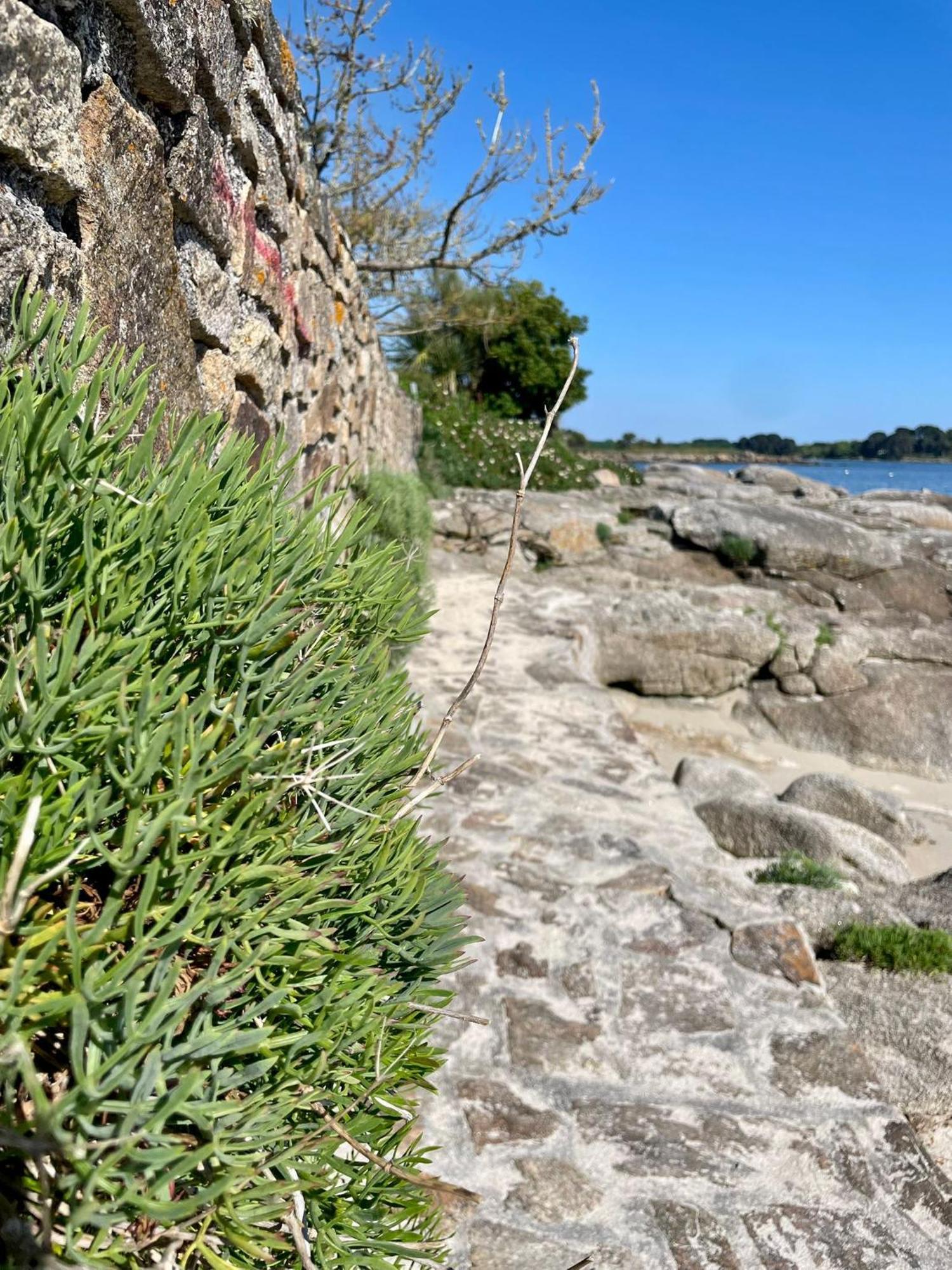 2 Maisons De Vacances Sittelles Lodge Concarneau Εξωτερικό φωτογραφία