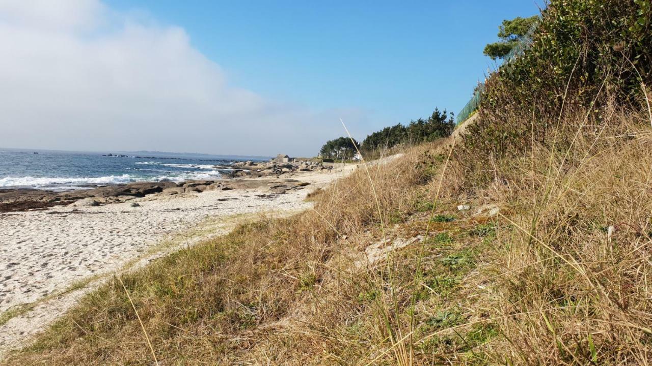 2 Maisons De Vacances Sittelles Lodge Concarneau Εξωτερικό φωτογραφία